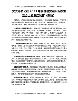 党支部书记在2021年度基层党组织组织生活会上的总结发言（政协）