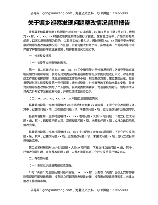 关于镇乡巡察发现问题整改情况督查报告