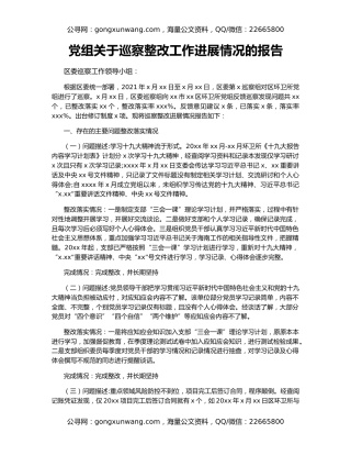 党组关于巡察整改工作进展情况的报告
