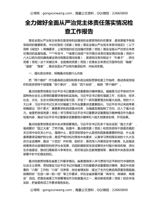 全力做好全面从严治党主体责任落实情况检查工作报告
