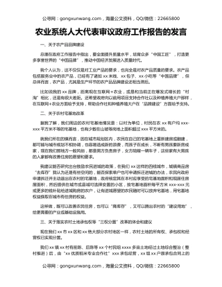 农业系统人大代表审议政府工作报告的发言