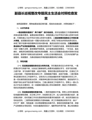 副县长巡视整改专题民主生活会对照检查发言