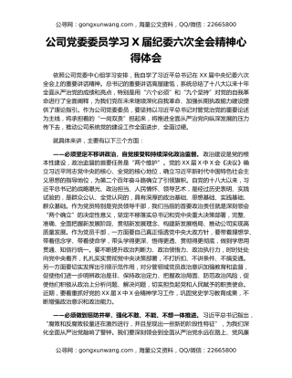 公司党委委员学习X届纪委六次全会精神心得体会（2）