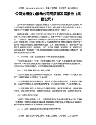 公司党组奋力推动公司高质量发展报告（集团公司）