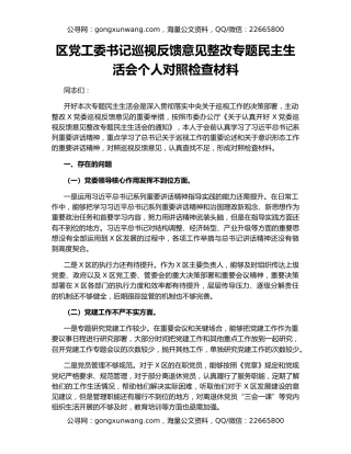 区党工委书记巡视反馈意见整改专题民主生活会个人对照检查材料