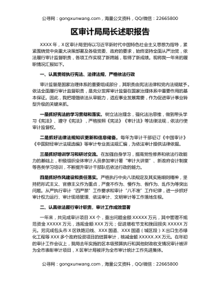 区审计局局长述职报告