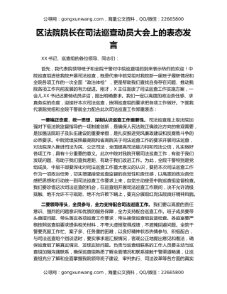区法院院长在司法巡查动员大会上的表态发言