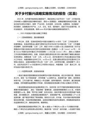 关于乡村振兴战略实施情况的报告（区县）