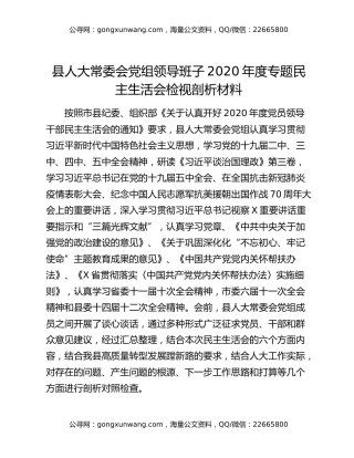 县人大常委会党组领导班子2020年度专题民主生活会检视剖析材料