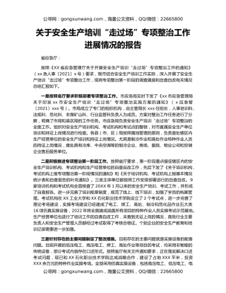关于安全生产培训“走过场”专项整治工作进展情况的报告