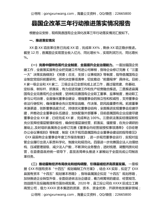 县国企改革三年行动推进落实情况报告