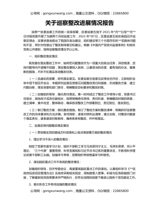 关于巡察整改进展情况报告