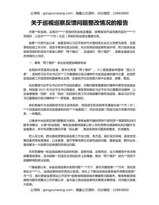 关于巡视巡察反馈问题整改情况的报告