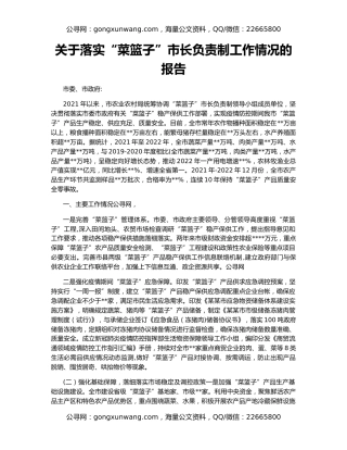 关于落实“菜篮子”市长负责制工作情况的报告