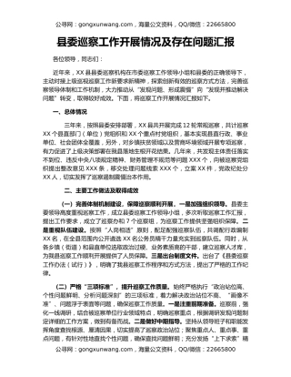 县委巡察工作开展情况及存在问题汇报