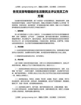 各党支部专题组织生活暨民主评议党员工作方案