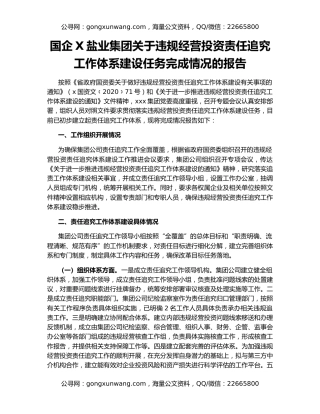 国企X盐业集团关于违规经营投资责任追究工作体系建设任务完成情况的报告
