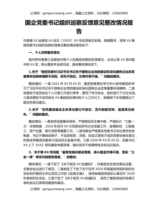 国企党委书记组织巡察反馈意见整改情况报告20836