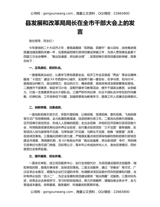 县发展和改革局局长在全市干部大会上的发言
