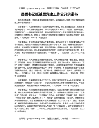 县委书记抓基层党建工作公开承诺书
