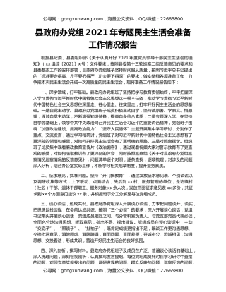 县政府办党组2021年专题民主生活会准备工作情况报告