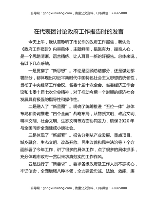 在代表团讨论政府工作报告时的发言