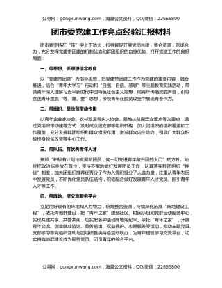 团市委党建工作亮点经验汇报材料