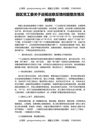 园区党工委关于巡视巡察反馈问题整改情况的报告