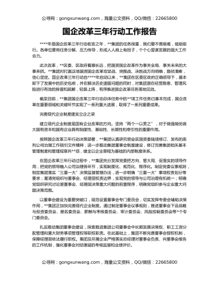 国企改革三年行动工作报告（2）
