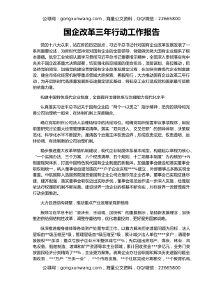 国企改革三年行动工作报告（3）