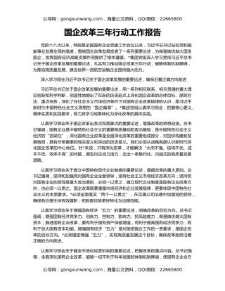 国企改革三年行动工作报告（4）