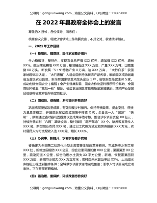 在2022年县政府全体会上的发言