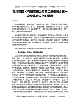 在共青团X有限责任公司第二届委员会第一次全体会议上的讲话