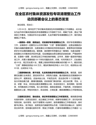 在全区农村集体资源发包专项清理整治工作动员部署会议上的表态发言