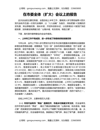 在市委全体（扩大）会议上的报告