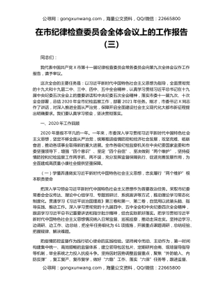 在市纪律检查委员会全体会议上的工作报告（三）