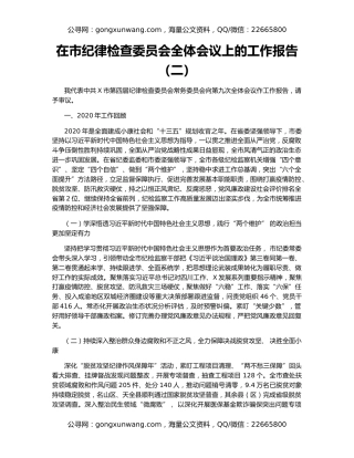 在市纪律检查委员会全体会议上的工作报告（二）