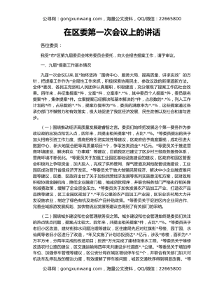 在区委第一次会议上的讲话