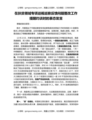 在扶贫领域专项巡视巡察反馈问题整改工作提醒约谈时的表态发言