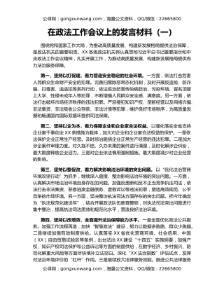 在政法工作会议上的发言材料（一）