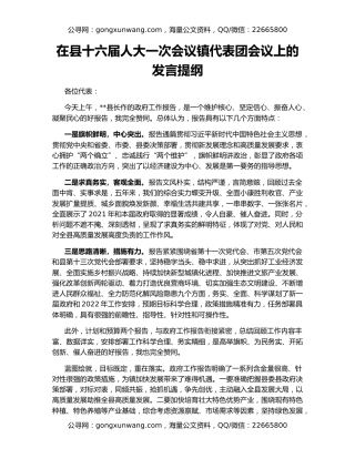 在县十六届人大一次会议镇代表团会议上的发言提纲