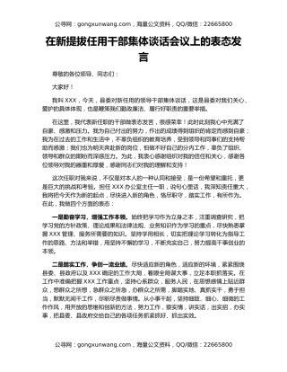 在新提拔任用干部集体谈话会议上的表态发言