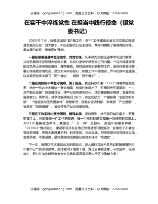 在实干中淬炼党性 在担当中践行使命（镇党委书记）