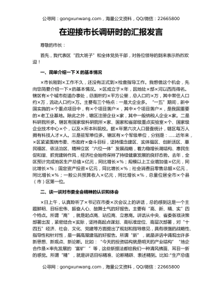 在迎接市长调研时的汇报发言