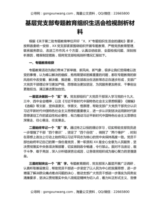 基层党支部专题教育组织生活会检视剖析材料