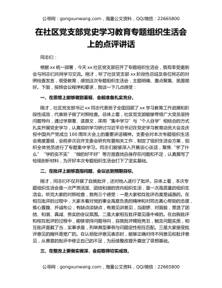 在社区党支部党史学习教育专题组织生活会上的点评讲话