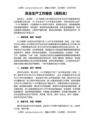 安全生产工作报告（局机关）