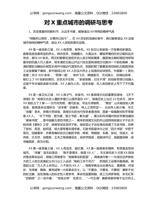 对X重点城市的调研与思考