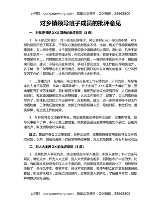 对乡镇领导班子成员的批评意见