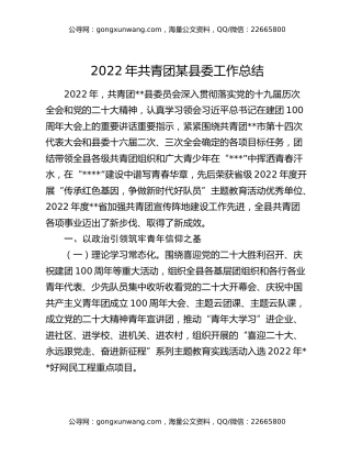 2022年共青团某县委工作总结